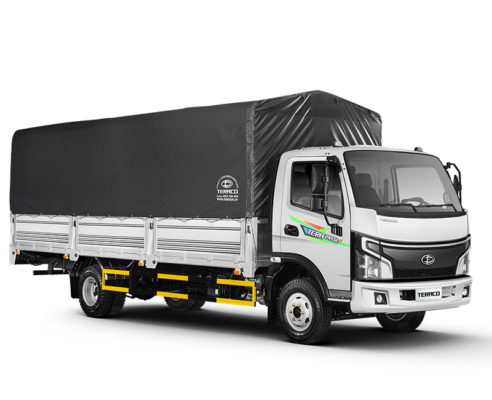 Xe tải Tera 245SL Plus