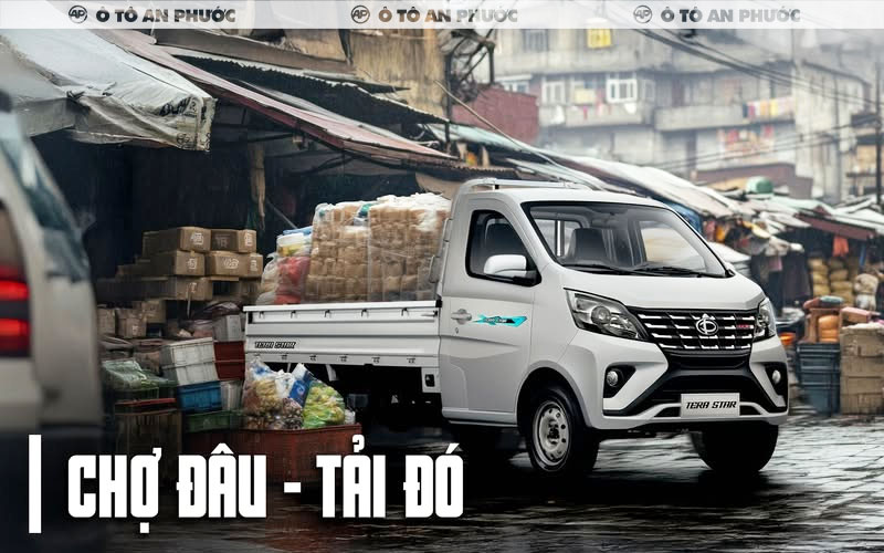 Xe tải Tera Star 990kg