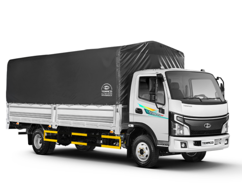 Xe tải Tera 350 Plus