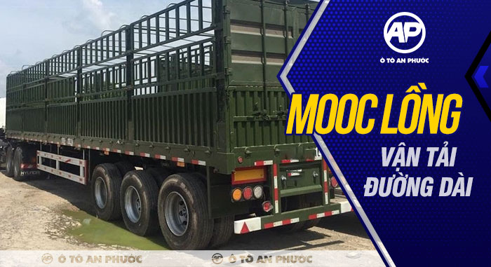 Mooc lồng vận tải đường dài