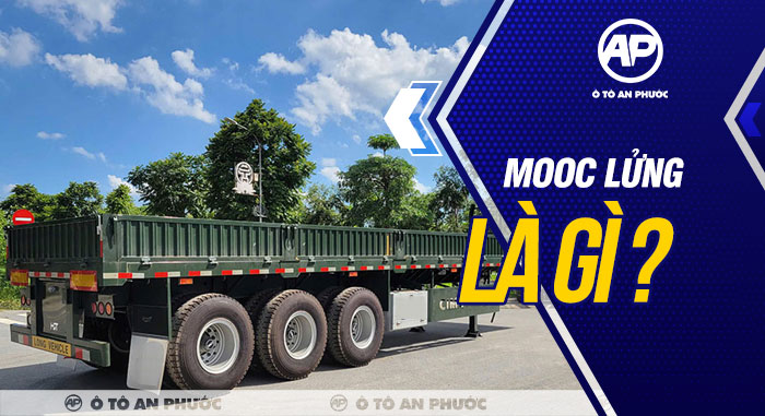 Mooc lửng là gì