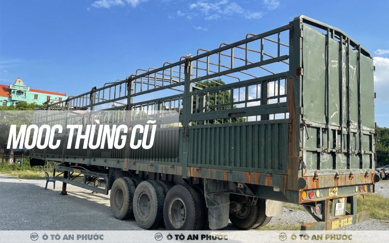 chọn mooc cũ thanh lý