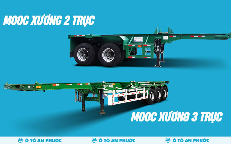 mooc xương 2 trục và 3 trục