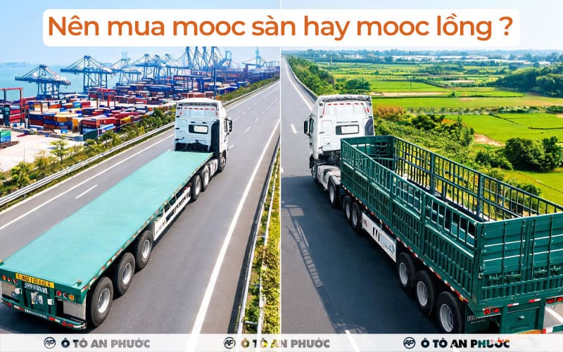 Nên mua mooc sàn hay mooc lồng