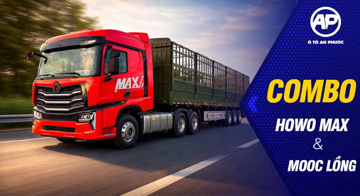 howo max và mooc lồng