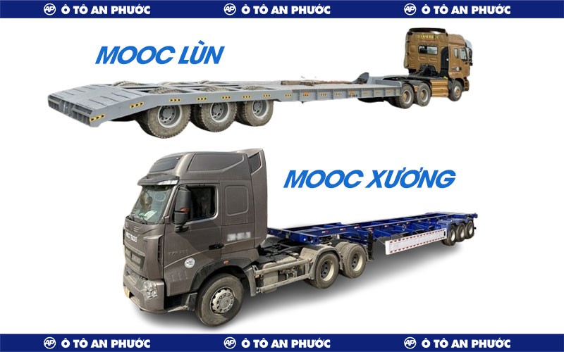 So sánh mooc lùn và mooc xương